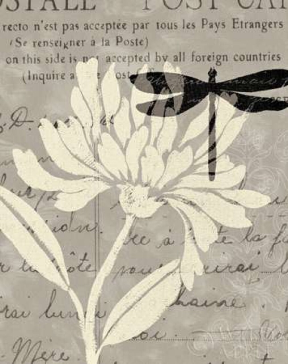 Coconut Palm I Poster Print by Patricia Pinto - Item # VARPDX9305